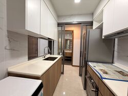 Sanctuary @ Newton (D11), Apartment #558586161